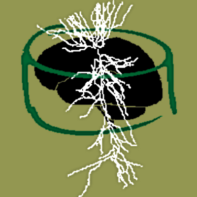 Logo for NeuroMorpho.Org
